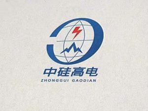 北京中硅高电科技有限公司简介